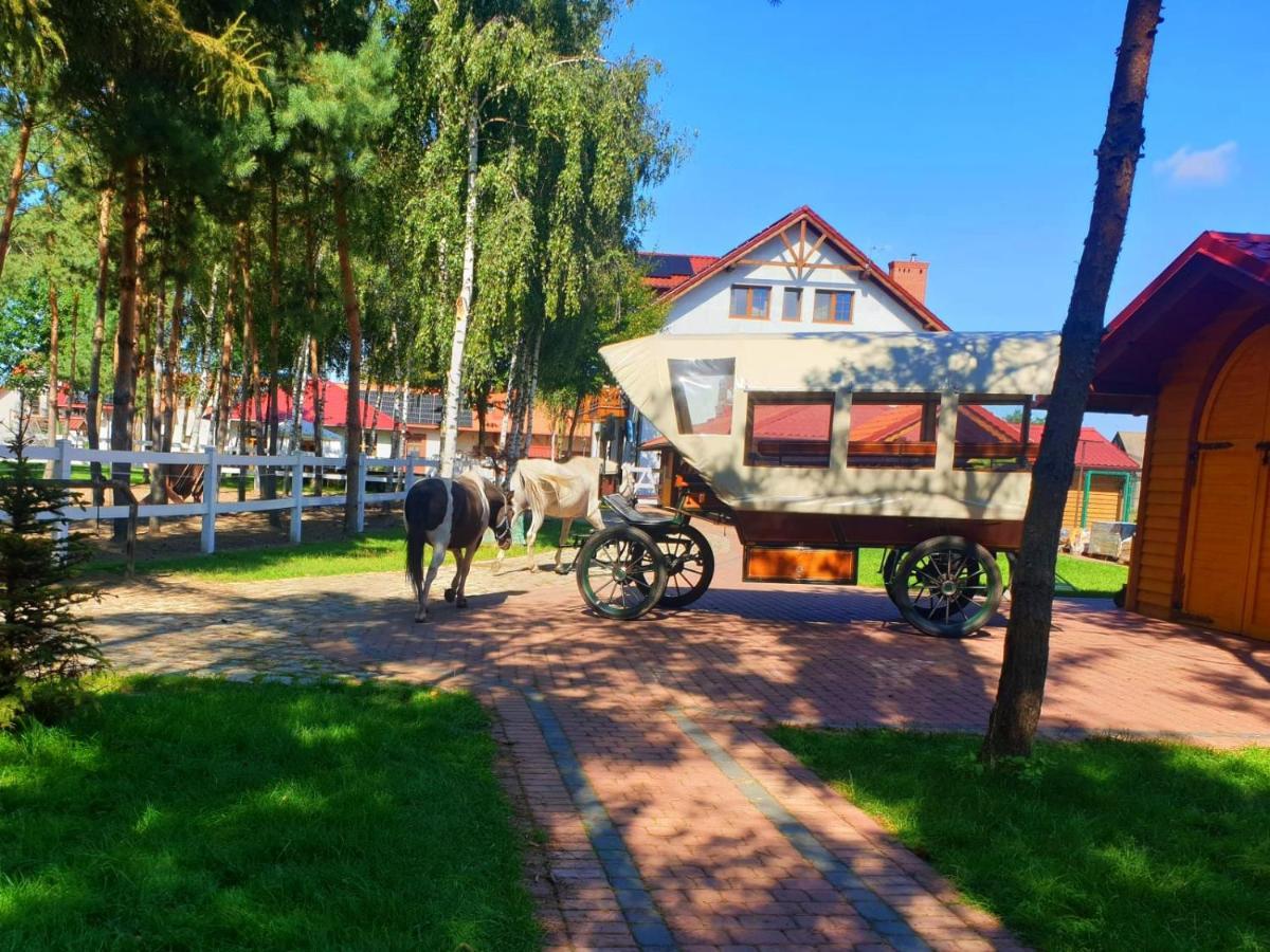 Villa Osrodek Agroturystyczny Zacisze Giewartów Exterior foto
