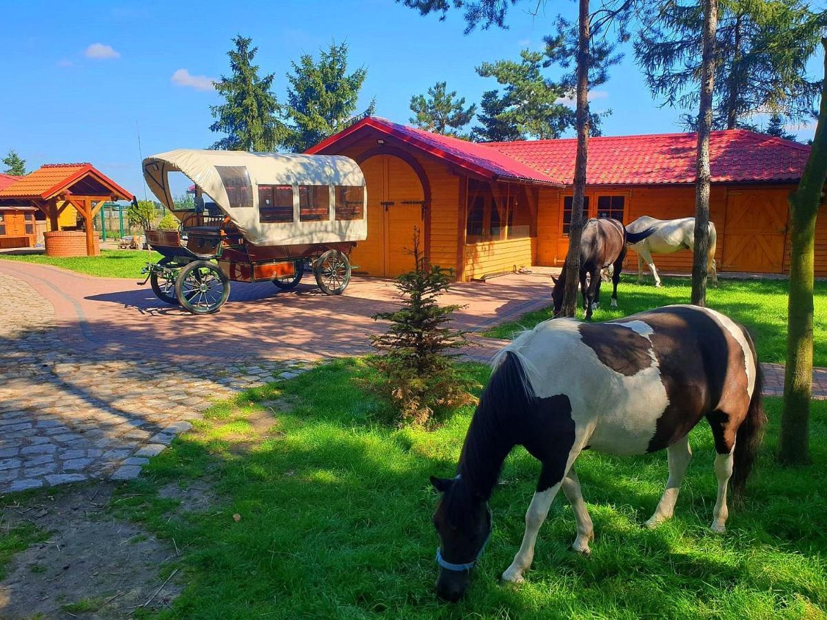 Villa Osrodek Agroturystyczny Zacisze Giewartów Exterior foto